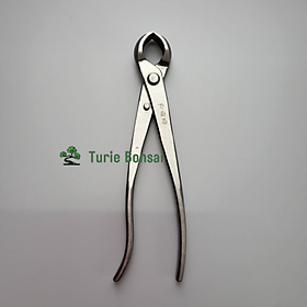 Cạp tròn bonsai cây cảnh dài 21cm