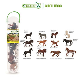 Bộ hình thu nhỏ Ngựa - CollectA Box of Mini Horses, hiệu CollectA
