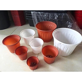 Set 50 Chậu nhựa dẻo trồng cây ươm cây màu nâu đỏ (2 size:180- 200)