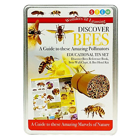 Wonder Of Learning - Discover Bees - A Guide To These Amazing Pollinators