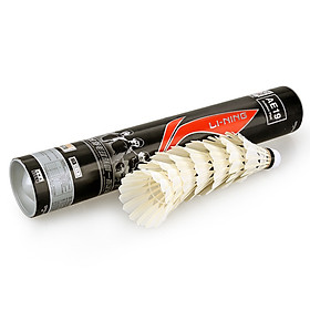 Ống Cầu Lông Li Ning AE19 (12 Trái)