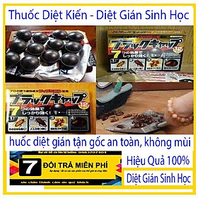 Thuốc diệt gián nội địa nhật bản 12 viên giá sốc