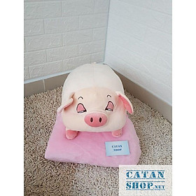 Mua ️️GỐI MỀN heo phê ngủ SIÊU DÀI 65CM  heo ngáo ngủ 3 trong 1   thun 4 chiều siêu mịn  bộ chăn gối văn phòng