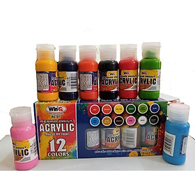 Màu acrylic winq ac-01 - 12 màu 30ml