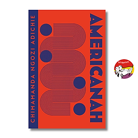 Sách - Americanah by Chimamanda Ngozi Adichie | Literary Fiction / Ngoại văn Nhập khẩu UK