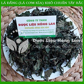 Mua  Thượng hạng  500G Lá Đắng (Lá Cơm Kìa) khô chuẩn rừng Tây Bắc