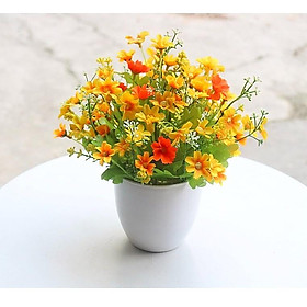 Mua Hoa giả/Bình hoa nhỏ để bàn trang trí