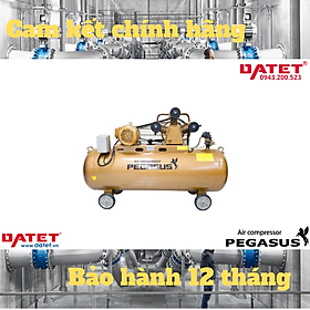 Mua Máy nén khí dây đai Pegasus TM-W-1.0/8-500L