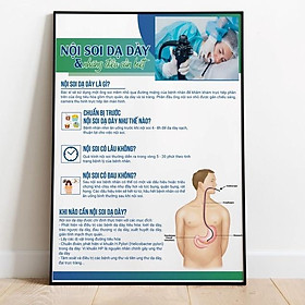 Mua (Tranh Khung) Tranh Nội Soi Dạ Dày Và Những Điều Cần Biết