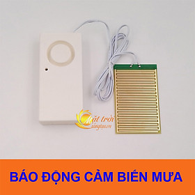 Mua Còi báo hiệu cảm biến nước mưa
