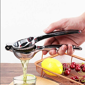 Mua Dụng cụ vắt chanh bằng inox