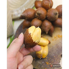 Mua cây giống Mây Thái Rừng Chua Ngọt