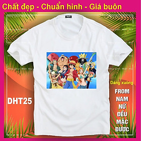 áo thun Đảo hải tặc 25 chất đẹp One Piece,phông,in hình, bao đôi trả