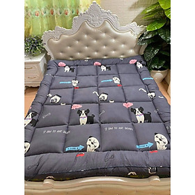 Mua Topper Tấm Làm Mềm Nệm Cực Êm Ái -BC05