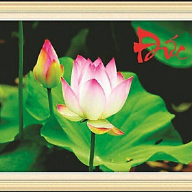 Tranh đính đá-Chữ Đức và hoa sen>chưa đính>88701