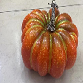 Quả Bí 17Cm Thấp 170