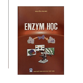 Enzym học