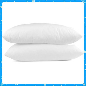 Mua Ruột gối nằm ép hơi 40x60 (2 cái) - Hàng Chất Lượng
