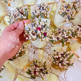 Mua Bó hoa khô mini ️Baby - Tú Cầu - Tùng Nho - Hạt Dẻ - Baby khô ️ Phụ kiện chụp ảnh  làm quà tặng