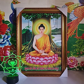 Mua Tranh Phật Thích Ca có khung_TC2