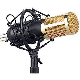 Microphone Kit Computer Condenser Mic with Arm Sound Card Pop Filter Windbreak for Gaming Podcasting Live Streaming