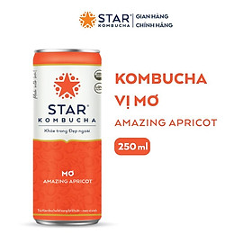 Thùng 12 lon thức uống lên men STAR KOMBUCHA Mơ Amazing Apricot 250ml lon