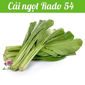 Hạt giống cải ngọt Rado 54 gói 20gr - DỄ TRỒNG