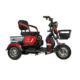 XE ĐIỆN 3 BÁNH EV V5