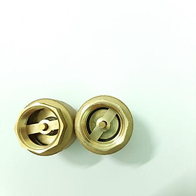 Mua Van 1 chiều dùng cho máy năng lượng mặt trời