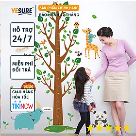 Miếng dán sticker Cleverbees đo chiều cho bé cao từ 60 cm tới 180 cm dán tường trang trí hình hoạt hình ngộ nghĩnh dễ dán Mẫu Clickmua678- Nhiều mẫu lựa chọn