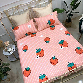 Mua Ga kèm 2 vỏ gối đầu cottong 100% chất mát