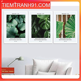 Tranh treo tường - Bộ 3 bức canvas tổng hợp 27 , tranh canvas giá rẻ