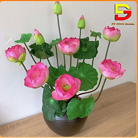 Mua Bình Hoa Sen Lụa Cao Cấp Hoa Giả Decor Cao 50cm Trang Trí Bàn Trà Kệ Tủ DG-181