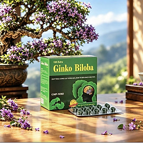 Viên uống Ginkgo Biloba 120mg Vinapharco VN1 , hộp 100v, tăng cường tuần hoàn não