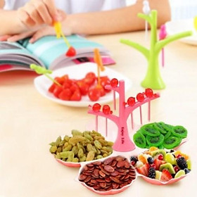 Mua KHAY ĐỰNG HOA QUẢ KÈM DĨA
