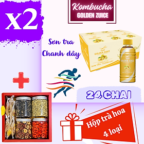 Combo 2 thùng kombucha golden zuice 350 ML