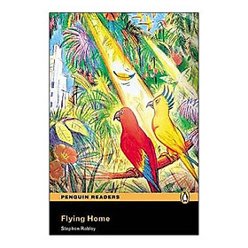 Flying Home: Easystarts - Pearson Education