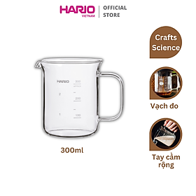 Bình đựng cà phê Hario 300ml (BV-300)