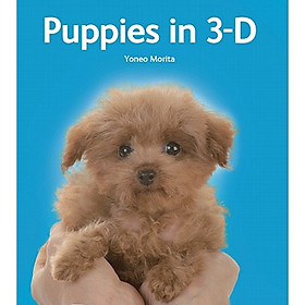 Puppies in 3-D