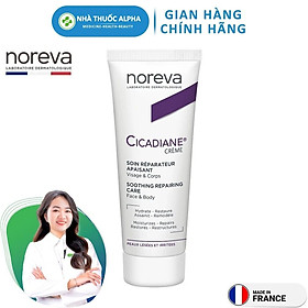 Kem Dưỡng Phục Hồi Da, Giảm Sắc Tố Noreva Cicadiane Cream Soothing Repairing Care 40ml