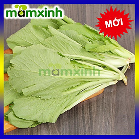 Mua Hạt Giống Rau Củ Quả  Hạt Giống Đồng Giá 10k
