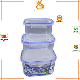 Bộ 3 Hộp Đựng Thực Phẩm Cao Cấp Việt Nhật Mã 6532 Bảo Quản Thực Phẩm Trong Tủ Lạnh Nắp Đậy Có Ron Chống Tràn, Chống Đổ