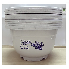 10 Chậu Nhựa Trồng Hoa, Cây Cảnh Hình Tròn A250x170 CN