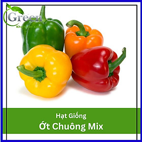 Hạt Giống Ớt Chuông (Ớt Ngọt) Nhiều Màu Mix (20H)