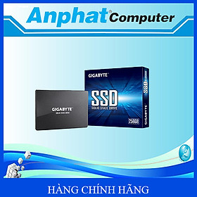Ổ Cứng SSD Gigabyte SATA3 256Gb (GP-GSTFS31256GTND / 2.5Inch/ 520MB/s/ 500MB/s) – Hàng Chính Hãng