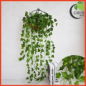 Mua Giỏ Hoa Treo Tường (Giỏ Cắm Sẵn Hoa) Hoa Trang Trí Nhà Cửa Ban Công Lối Đi Sân Vườn Tặng Móc Treo