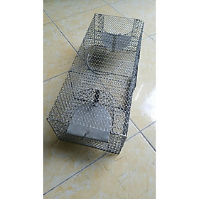 Mua Bẫy Chuột 2 Cửa Thông Minh  Chuột Không Lối Thoát