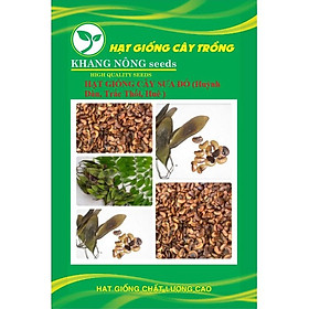 Mua Hạt giống cây Sưa Đỏ (Huỳnh Đàn  Trắc Thối  Huê ) KNS3694 - Gói 20 hạt