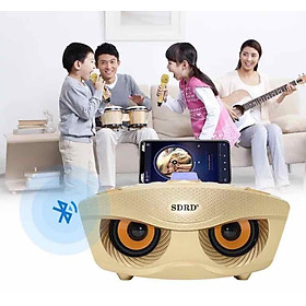 Loa Bluetooth Karaoke Mắt Cú SD-306 Kèm 2 Micro Cực Hay