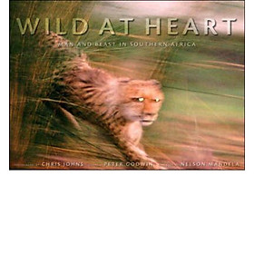 Wild at Heart  Man and Beast in Southern Africa